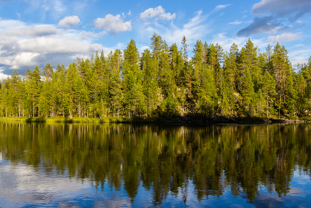 http://ovp.fi/./random/24.8.2013_Kuusamo89.jpg